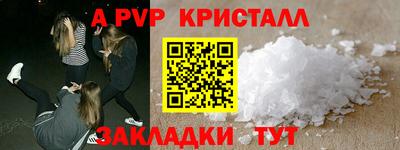 шишки Тверь