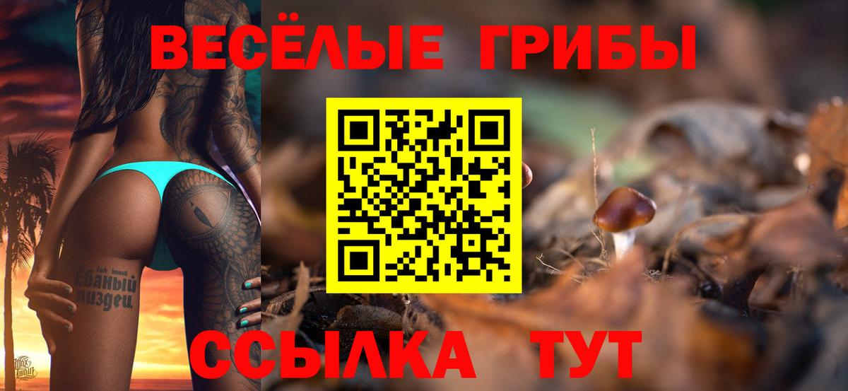 Нижний Новгород  Псилоцибиновые грибы Psilocybe  Вход с VPN  Псилоцибиновые грибы прущие грибы 